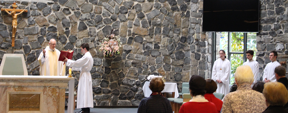 Celebrating Mass at the Our Lady of The Way Cathedral, Waitara for the Year of Mercy Pilgrimage.